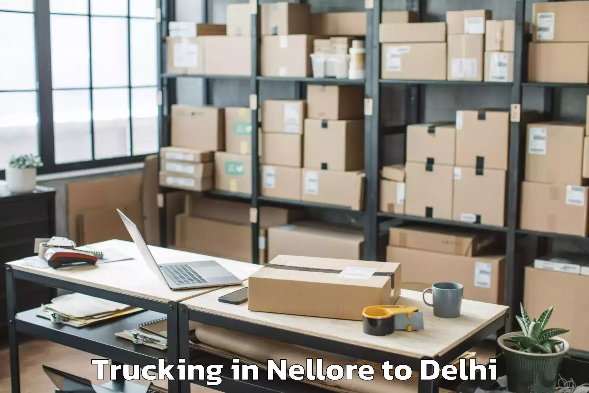 Easy Nellore to D Mall Rohini Trucking Booking